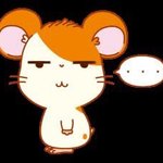 [19] 나도 ㅈㄴ 웃긴게 현실에서는 깡마른 개말라 추구미인데