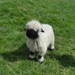 여<b>쿨라</b> 인생블러셔조합 알려쥼