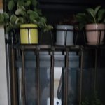 이웃의 이런 행동 어떻게 받아드려야 하는지