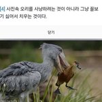 고깃집 알바 <b>첫날</b> 후기