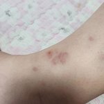 초<b>절식</b> 하지마 진짜..