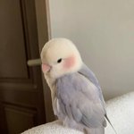 개강 정신뼝 <b>on</b>