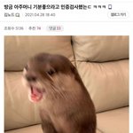 아니 <b>정신병</b> <b>약</b>을 왜 지 맘대로 끊음