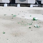 학생들이 강아지 운동장에 깨진 소주병·캔…<b>CCTV</b> 보고 '경악'