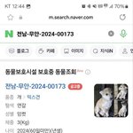 [댓글부탁해] 우리 귀염<b>둥이</b> 아지 보고 가세염