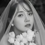 [전문] '<b>BJ</b> 전향' 강은비, 4월 5일 결혼한다…신랑은 '17년...