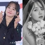 윤하→'4월의 신부' 강은비 깜짝 결혼 발표, 축하 __ [<b>ST</b>이슈]