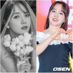 윤하→강은비, 열애설 대신 결혼 발표.."17년 지기와 4월 5일...