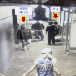 아일릿 <b>cctv</b>품 뉴진스한테 인사했네