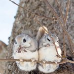 [19] 11시30분에 산부인과<b>예약</b>인데 진짜무섭다