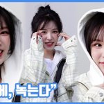 <b>미소</b>에, 녹는다"...웬디, 러블리 댕댕이