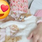 나의 동거묘 <b>도칠</b>이 25년에도 집사랑 잘 지내고 있는중~