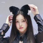 [엔터톡] 하투하 <b>이안</b> 고양이