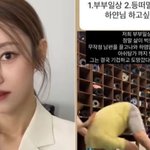 조작' 논란에 "삶 벅차서 무작정 걸어...<b>기겁</b>하다 도망갔다"
