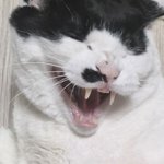 ㅋㅋ
