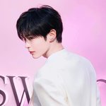 성한빈 요즘 뭔가.. 고급스러워짐