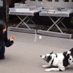 고민시, 파리에서 강아지와 힐링…러블리한 매력 발산