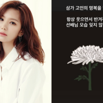 애프터스쿨 <b>정아</b>, 故휘성 추모→'공구' 일정도 미뤘다 "다신 이런일...