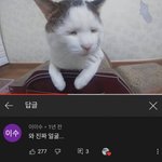 김수현이랑 김새론 사귄 건 진짜임???