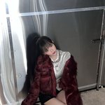 <b>루카</b>는 유명한 그림 천재 고양이입니다