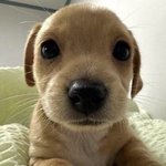 <b>복합성</b>인 애들중에 인생 수분크림