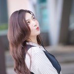 ‘조이는 아주 유명한 병아리임’ (<b>동물</b>농장 출근길) [HD포토]