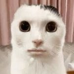 추반해주면 <b>무리</b> 생김+성적 올라감