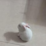 어떤 이유든 <b>밤일</b>은 정당화 안됌?