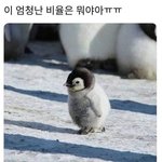 이번 김수현 사건이 <b>저번</b> 정우성 사건보다