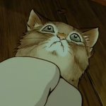 고양이는 주인 못알아보는 <b>동물</b>임