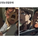 리바이가 좋아서 진격의 거인을 보는 건 <b>오바</b>겠지?