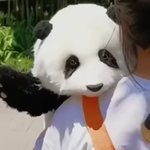 새삼 <b>판다</b>도 ㅈㄴ 사기 디자인 아니냐
