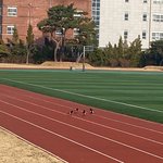 병원가는 길에 <b>까치</b>들이…