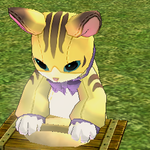 [레이] <b>베리</b>레드톡)