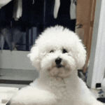 아는