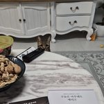 <b>이집</b> 누구<b>집</b>인지 모르겠네요 남의폰,집안에서활동을 알아요.