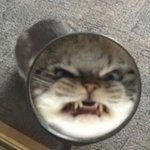 <b>물귀신</b>