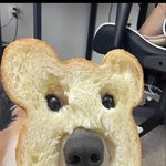 탐라 계란구름으로 <b>도배</b>돼서