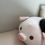크아<b>섭</b><b>종</b>해라 ㅋㅋ