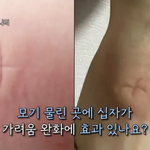 [19] 말랐는데 <b>가슴</b>큰애들 왤케많아??