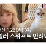 <b>테일러</b>가 키우는 고양이 되기 vs 그냥 살기