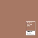 자주 업급되고 있는 2025년 올해의 <b>컬러</b>???