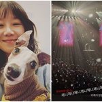 ‘케빈오’ 공효진, 제니 콘서트 관람 인증 “어깨가 정말 예쁘구나”