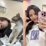 블랙핑크 지수, 고양이도 빠져들게 만드는 미소…사랑스러운 '멍뭉美'