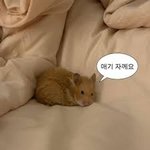 [드루와] 번호 존예 아니어도 따이는 건 맞는데
