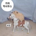 [드루와] 아이돌 <b>대중</b>성vs팬덤