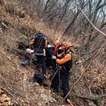 비탈길서 핸드폰 주우려다 추락해 기절한 여성 하루 뒤 발견돼 구조