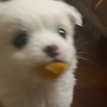 [댓글부탁해] 얘들아 몇천원<b>단위</b>로 월급 안들어온거