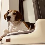 <b>새</b> 집 기념 내<b>새끼</b> 자랑 커엽 :)