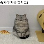 샤워 끄읕
